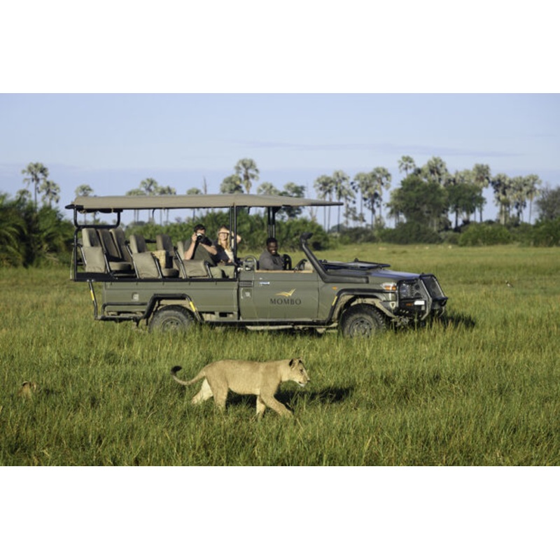 Botswana Mombo Camp Stay