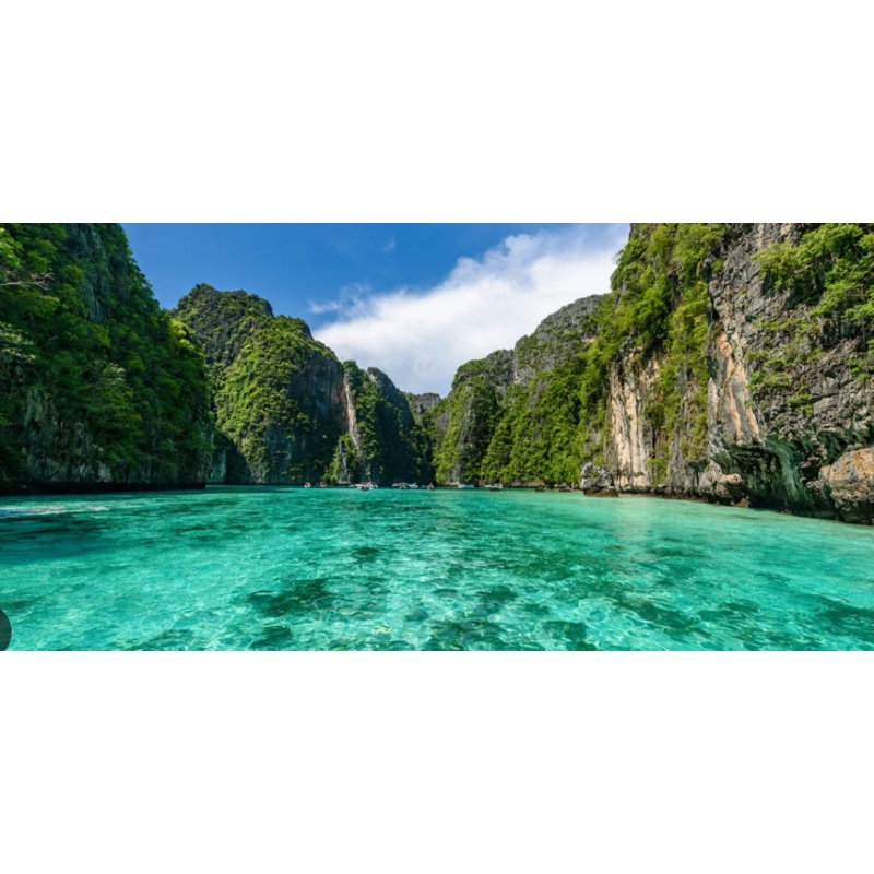 Honeymoon Fund S97441288