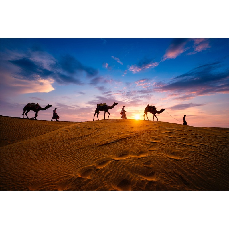 Honeymoon - Evening Desert Safari