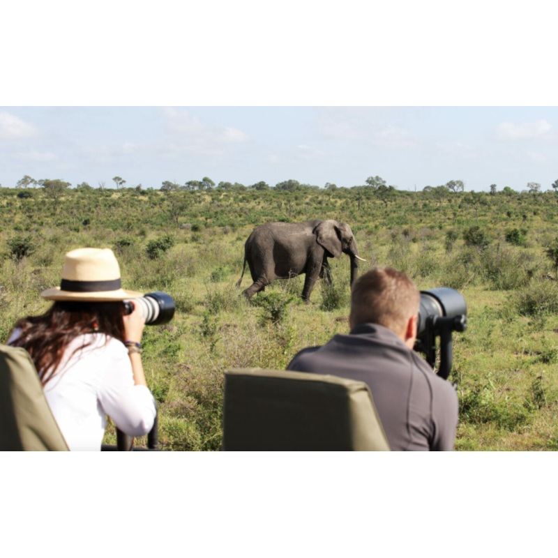 Sabi Sand Private Game Reserve Safari