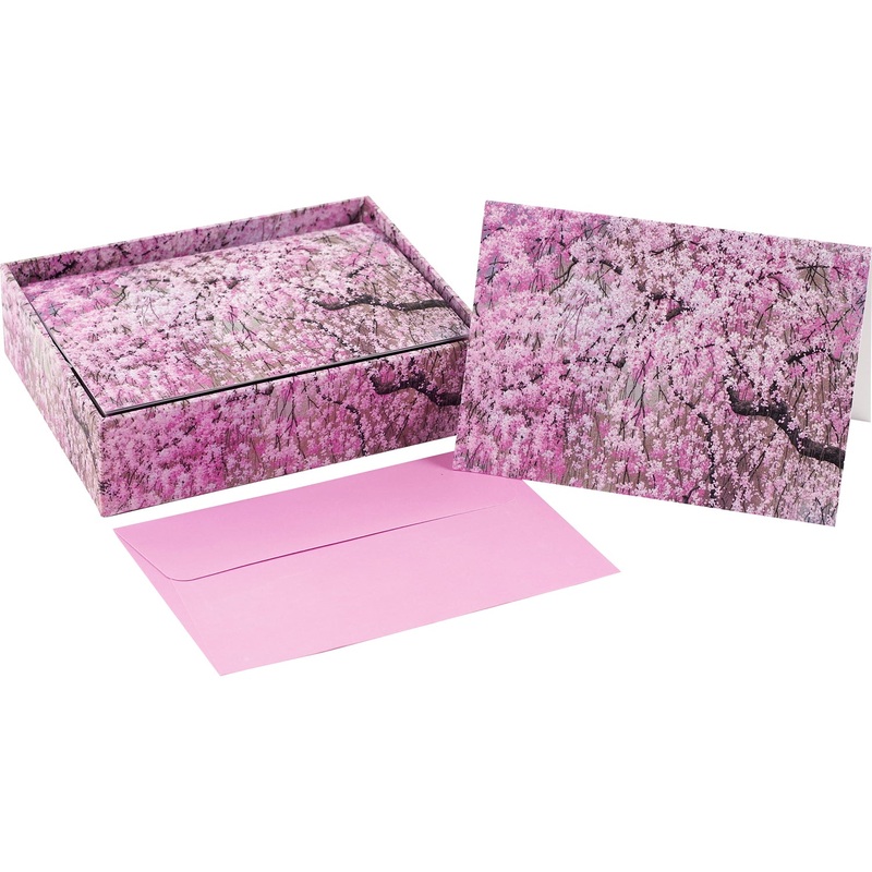 Cherry Blossom Boxed Everyday Note Cards Set 337771