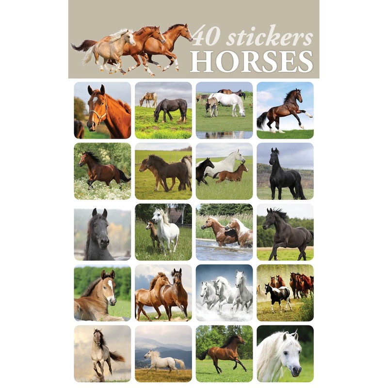Horse Stickers 2984
