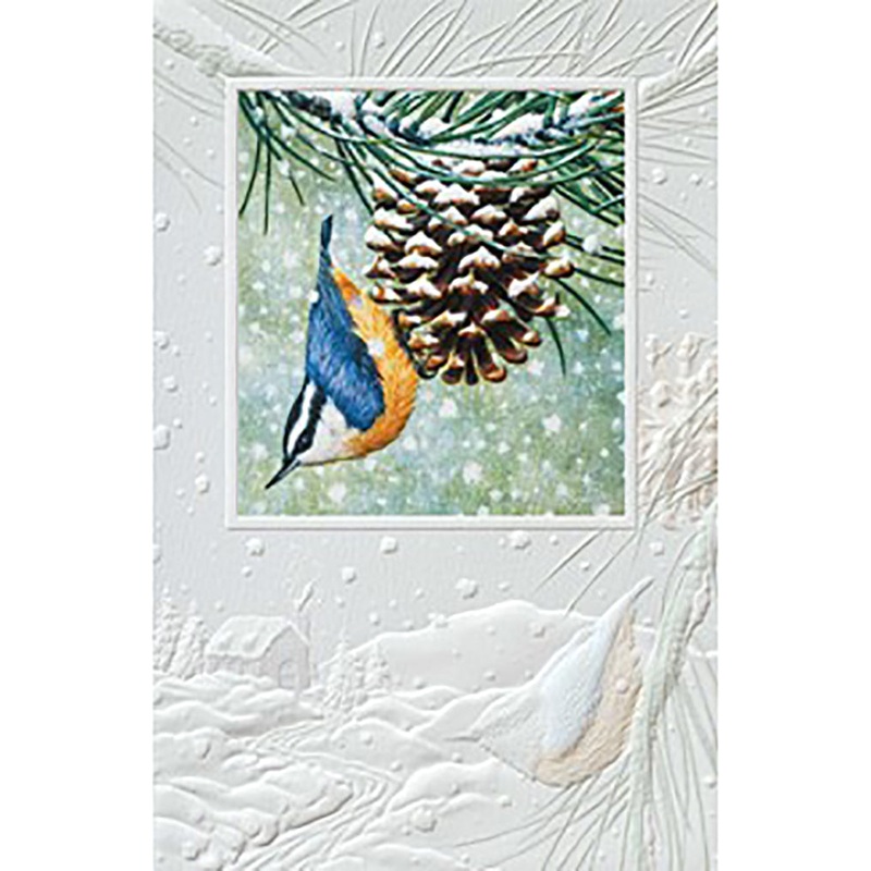 Hanging Around Christmas Boxed Cards 98913