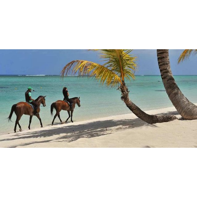 Honeymoon Activities S97385565