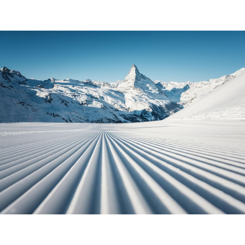 Honeymoon Fund S97448543