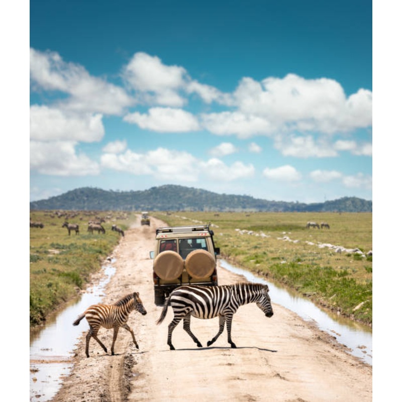 Honeymoon in Tanzania