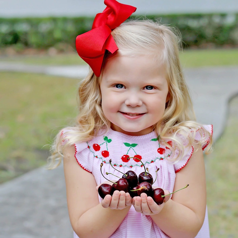 Pink Stripe Cherry Smocked Dress