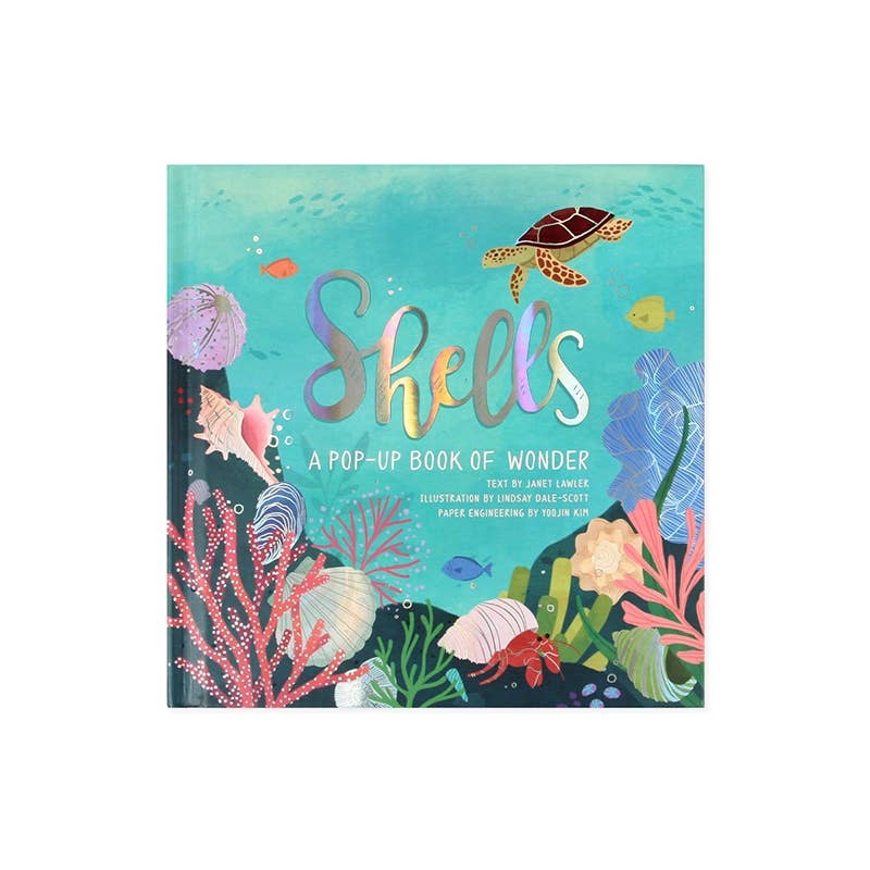 Shells: A Pop-Up Book Of Wonder - JJP127