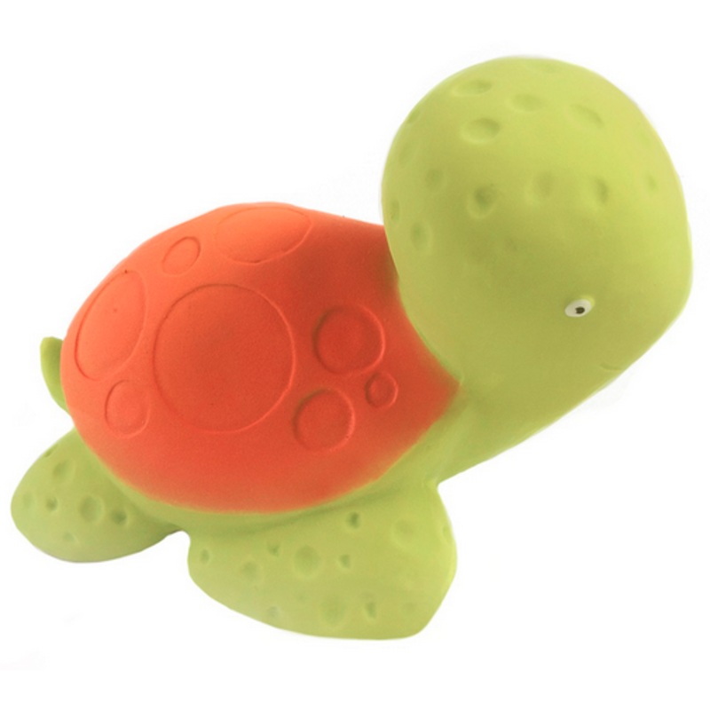 CaaOcho Mele the Sea Turtle