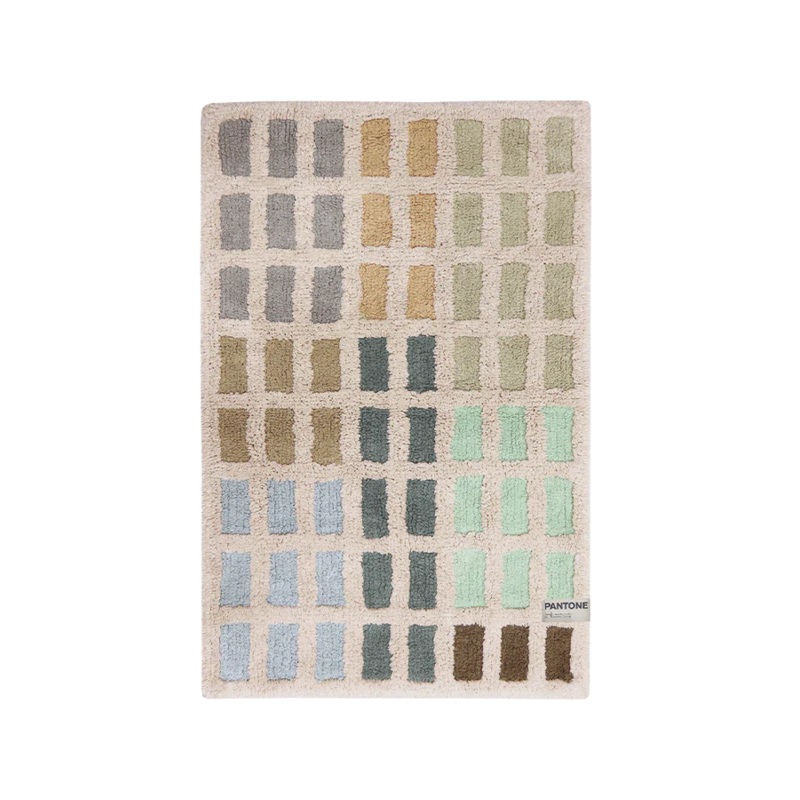 WASHABLE RUG PANTONE OSLO 60 x 90 cm Multicolor