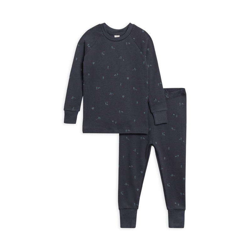 Colored Organics - 2 Piece Long Sleeve Jammie Set Cactus/Navy + Teal 12-18m