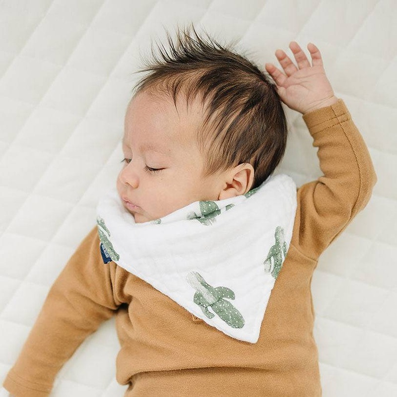 Saguaro Oh So Soft Muslin Bandana Bib