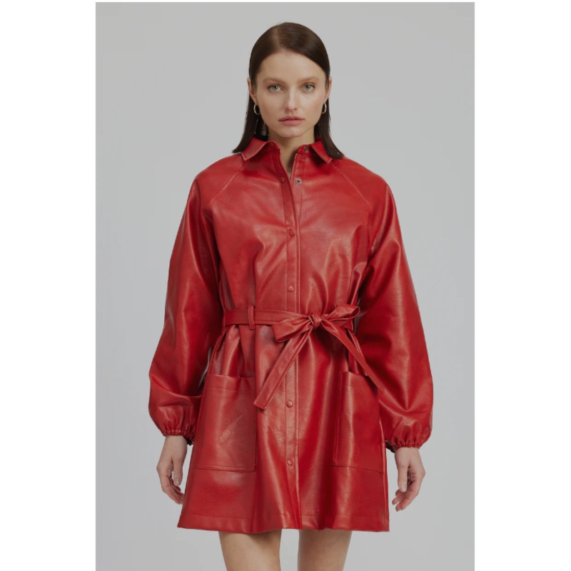 Bonrieux Mini Dress Small