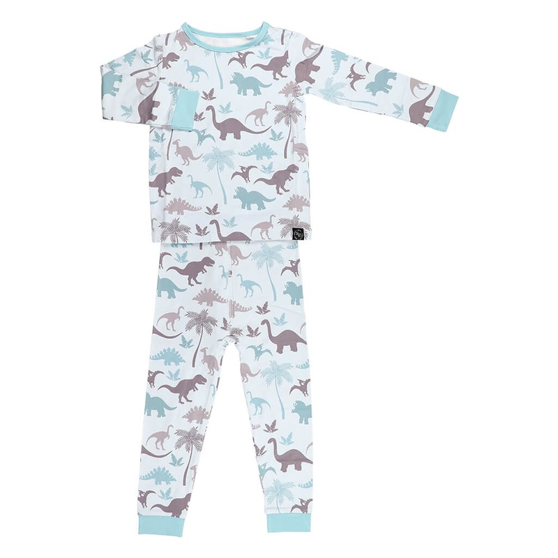 Aralia Golden - Plant