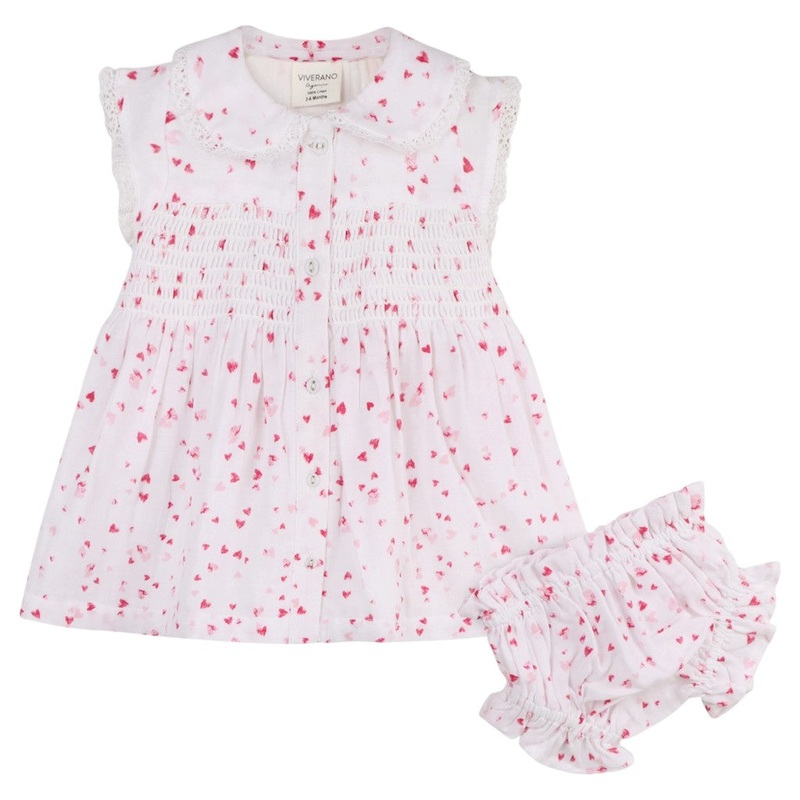 Cattaleya orange hybrids - Plant