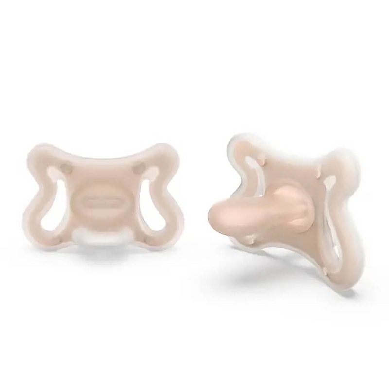 Neoregelia carolinae tricolor - Plant