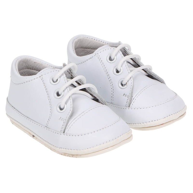 Sempervivum Green Wheel, Houseleek, Lakshmi Kamal - Succulent Plant