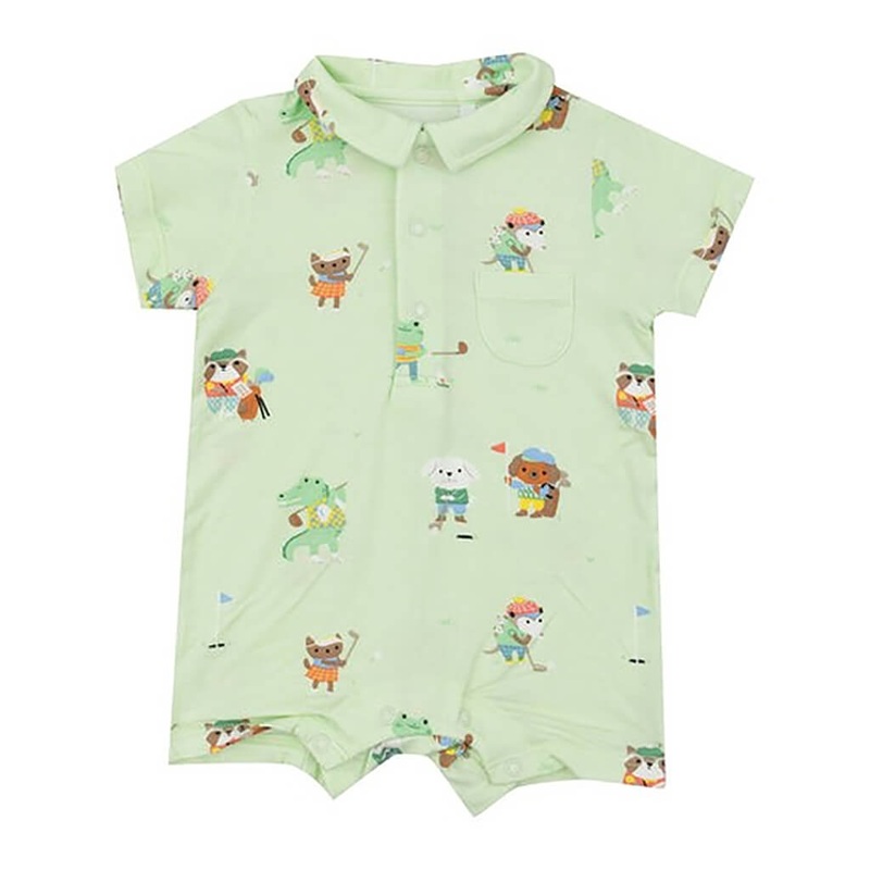 Air Plant, Tillandsia caput medusae (Large) - Plant