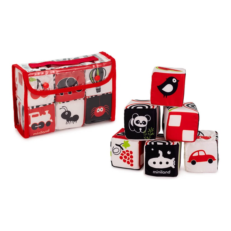 Ber Fruit, Ziziphus mauritiana (Grafted) - Plant