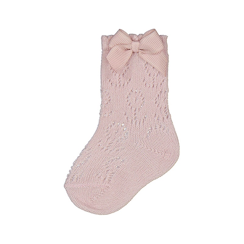 Ficus Amstel - Plant