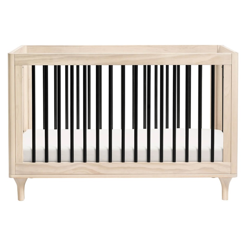 Lollipop Plant, Golden Shrimp - Plant