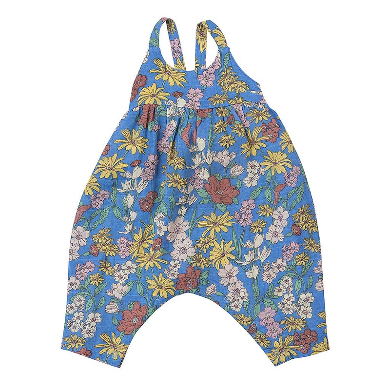 Wonderful Orchid plants - Pack of 2