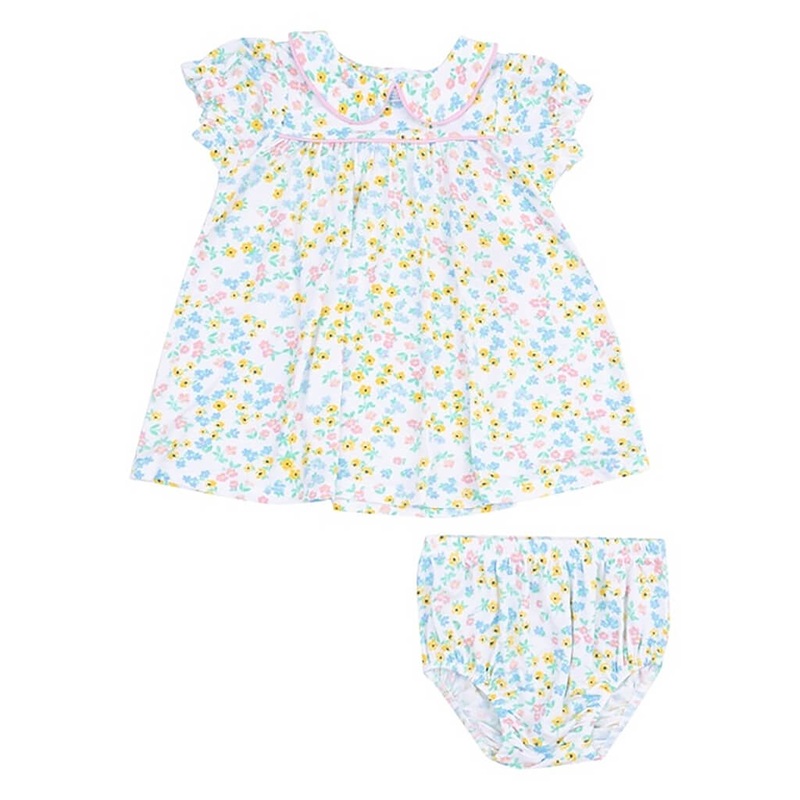 Adiantum tenerum new - Plant