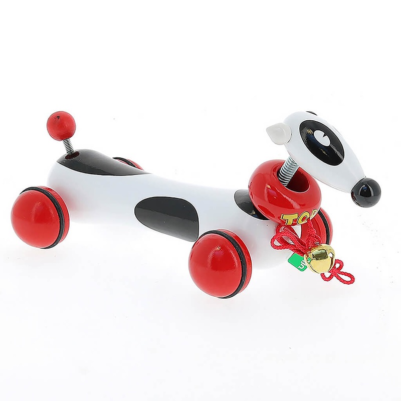 Orchid Plant, Dendrobium Orchid (Any variety, White) - Plant