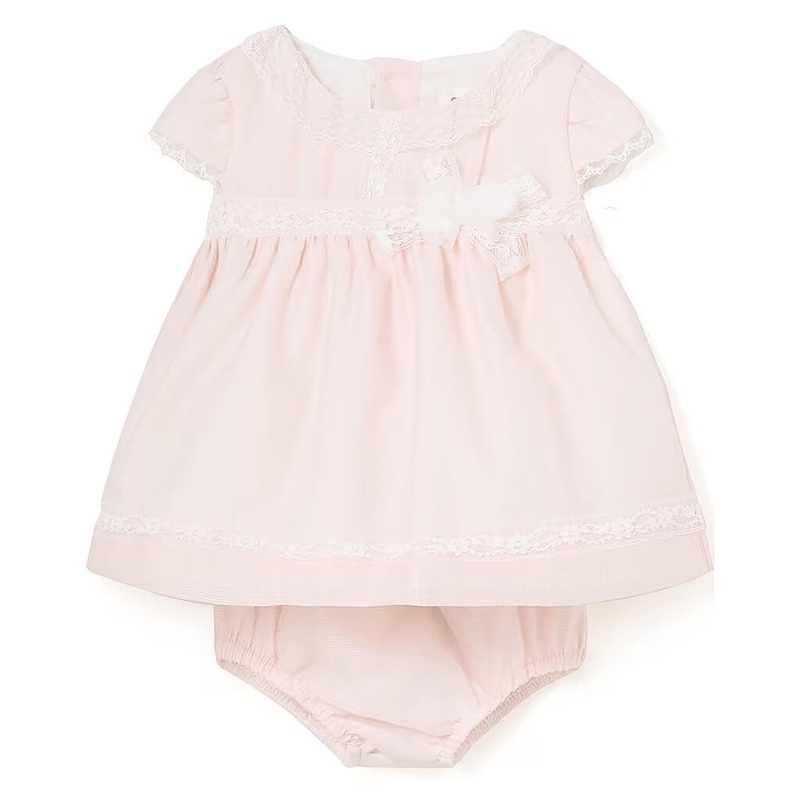 Set of 2 Pollution Killer Plants for Diwali