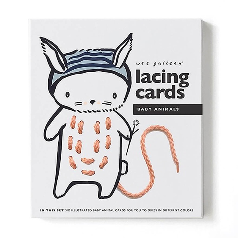 Vriesea elan - Plant