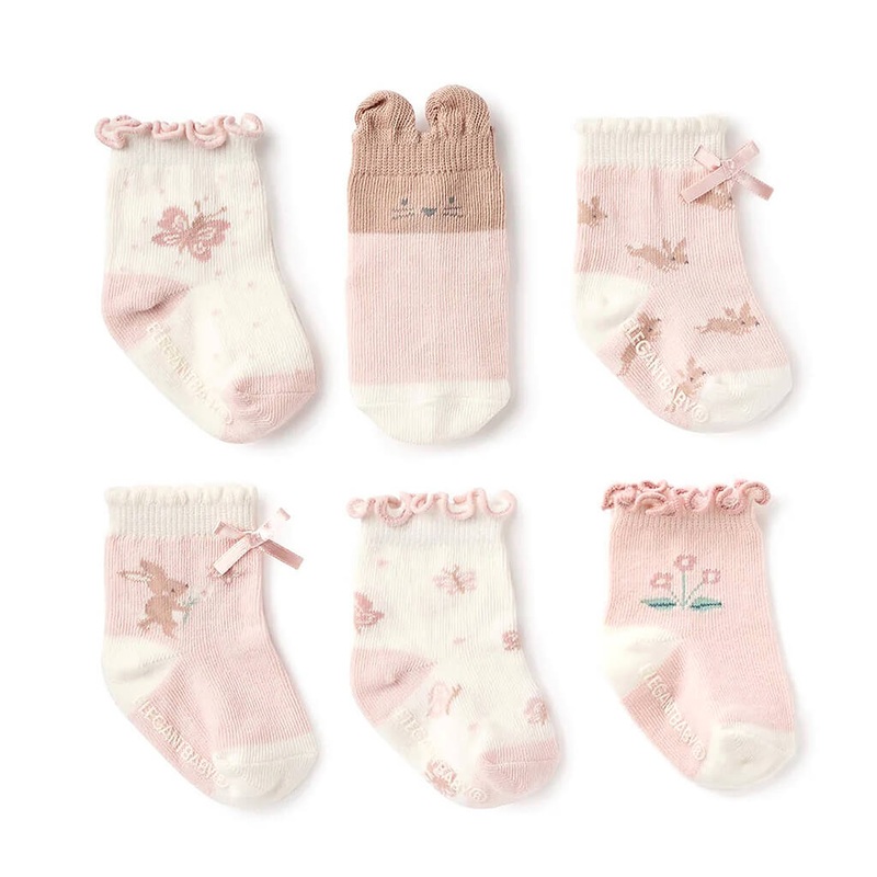 Nephrolepis exaltata dallasii - Plant