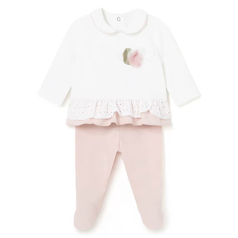 Asiatic Lily (Yellow) - Bulbs