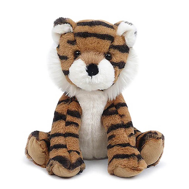 Clivia Miniata, Kaffir lily - Plant