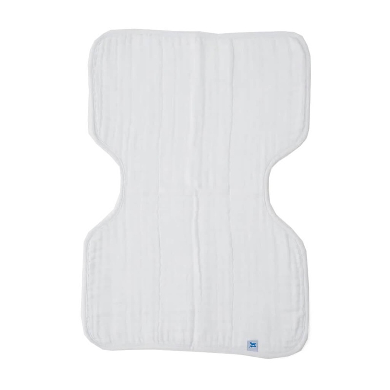 Philodendron Cordatum (Green, Hanging Basket) - Plant