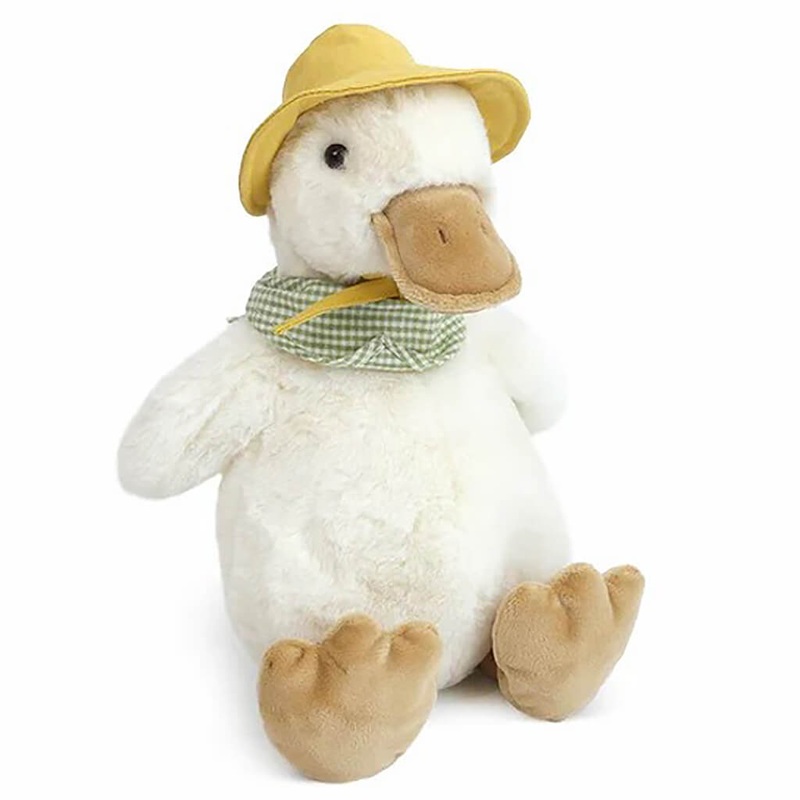 Crassula tetragona - Succulent Plant