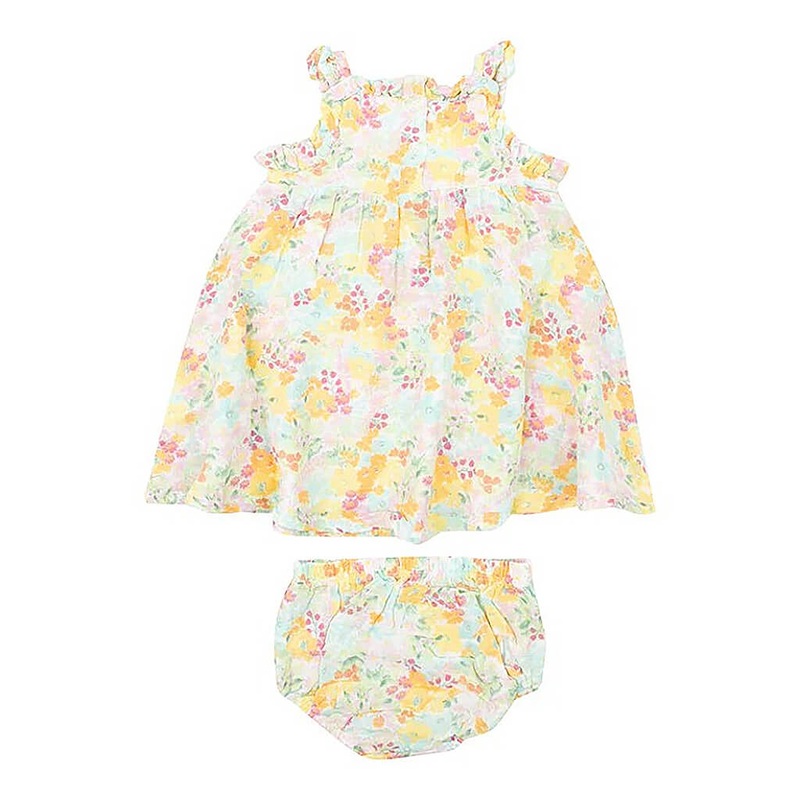 Hydrangea Macrophylla (Pink) - Plant