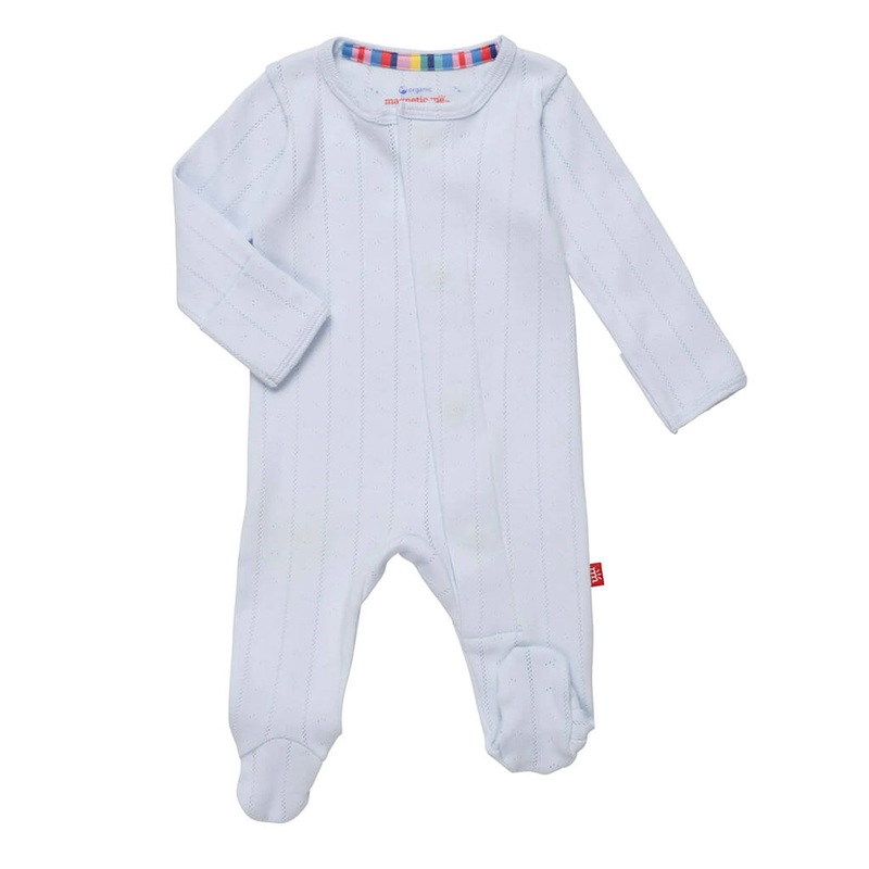 Pleomele, Song of India (Green) - Plant