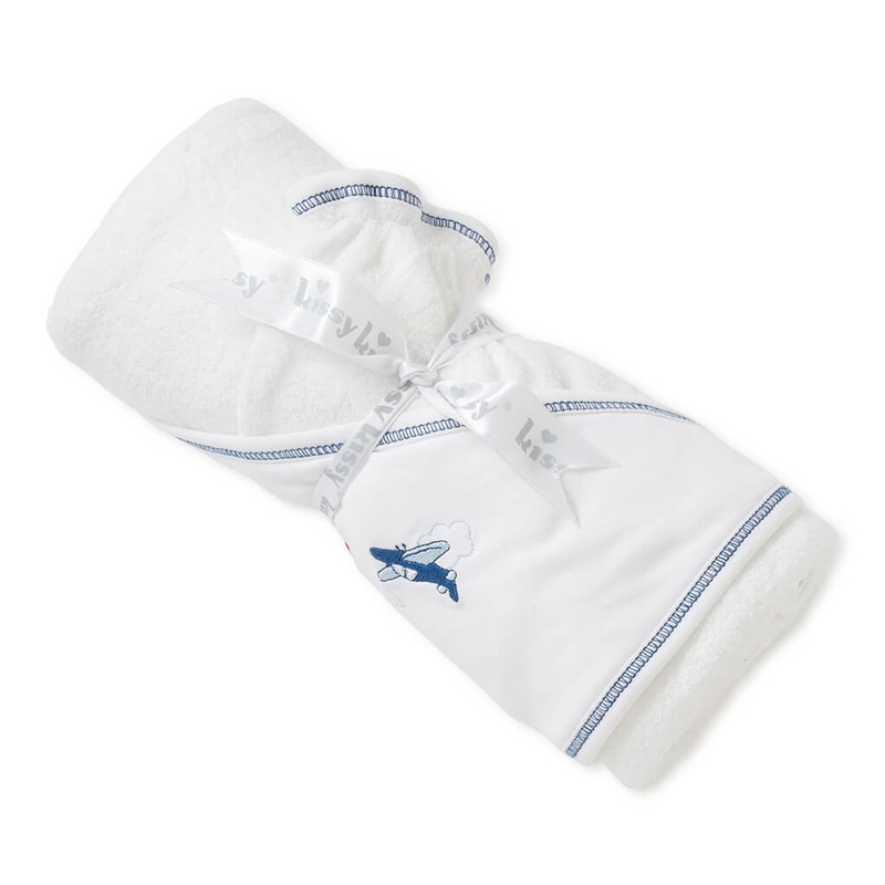 Zebra cactus in white sand square glass pot (4in Ht)