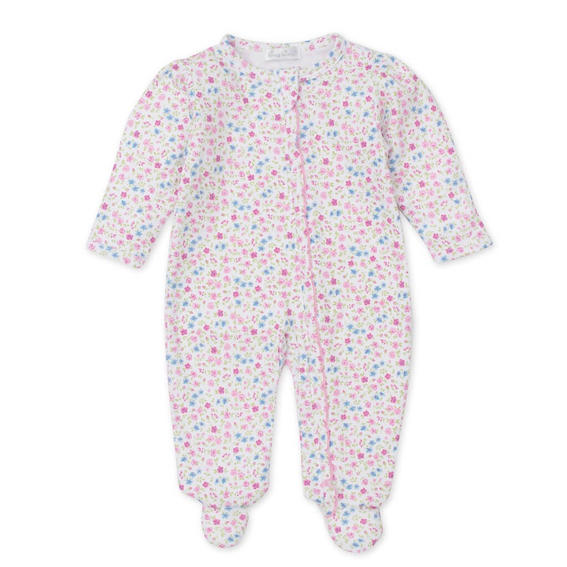 Acacia Concinna, Shikakai - Plant