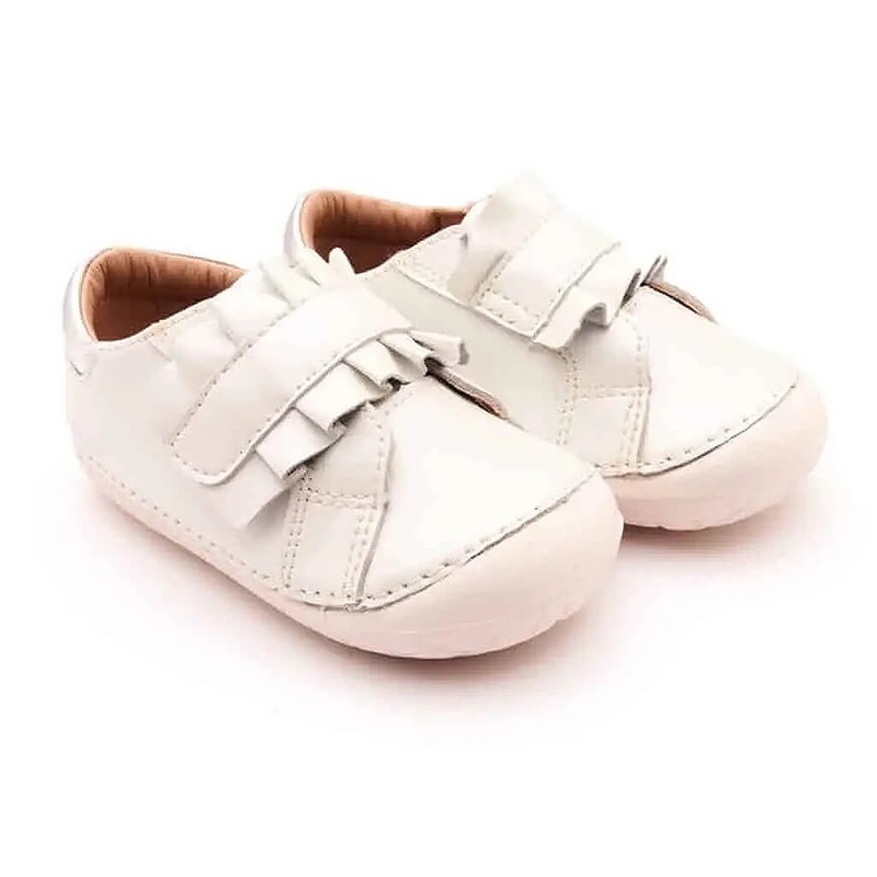 Phyllanthus reticulatus