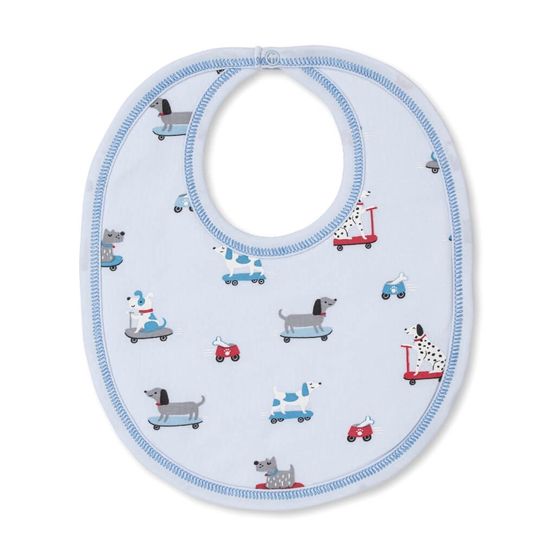 Callistemon lanceolatus - Plant