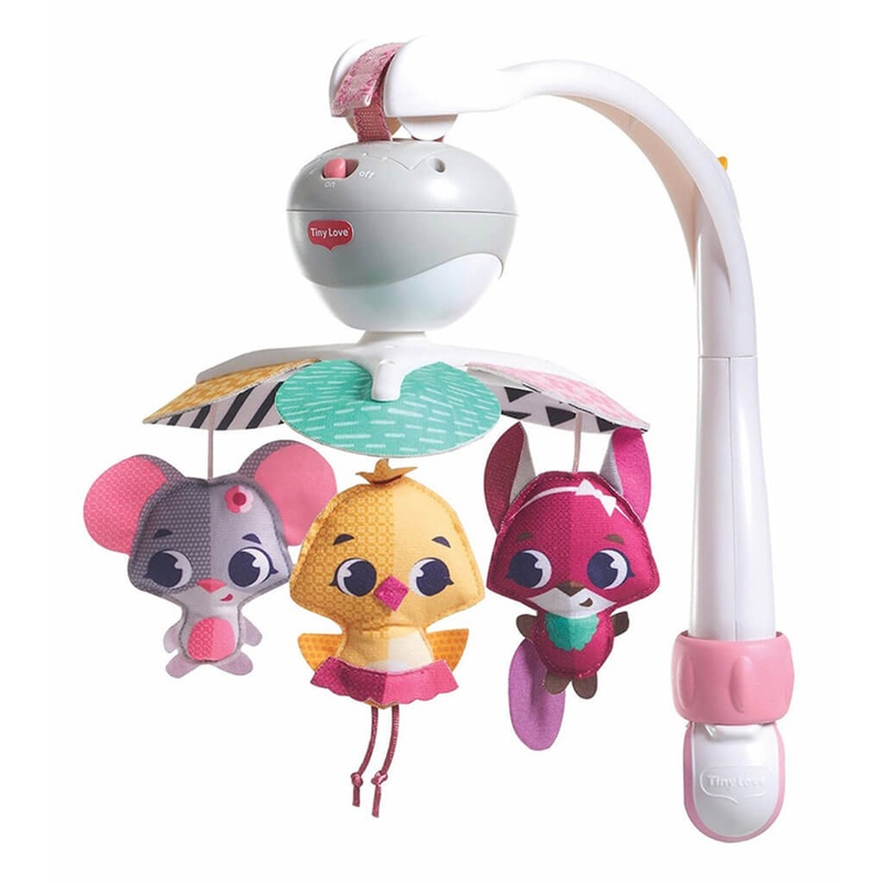 Butia capitata: Cocos capitata: Syagrus capitata - Plant