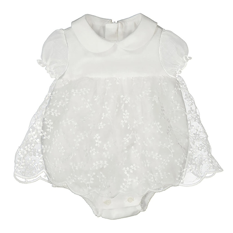 Dianella tasmanica variegata - Plant