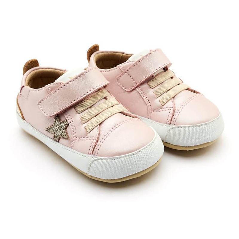 Brazilian plume, Jacobina (Pink) - Plant