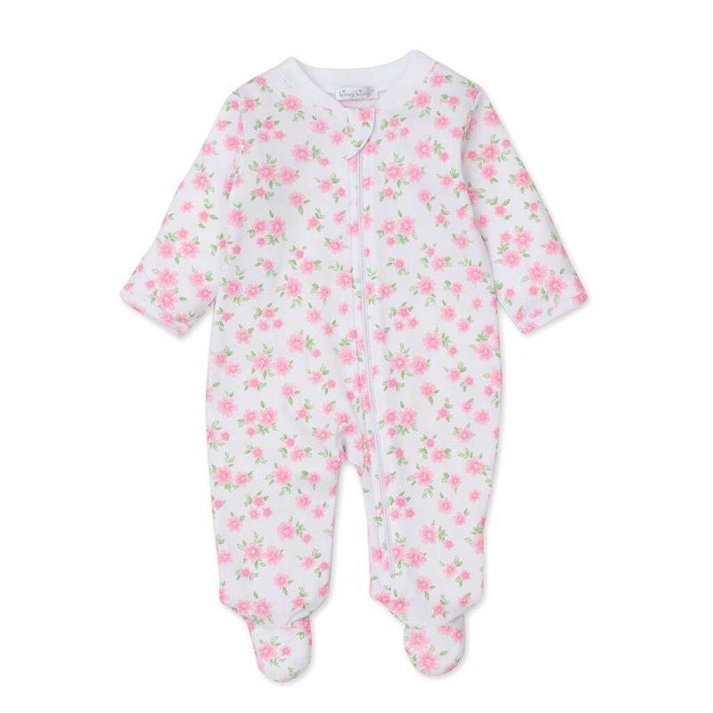 German Chamomile - Herb Seeds