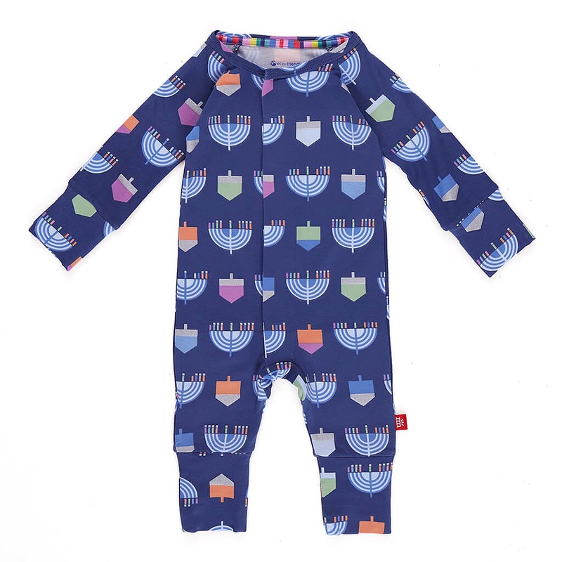 Haworthia cooperi - Succulent Plant