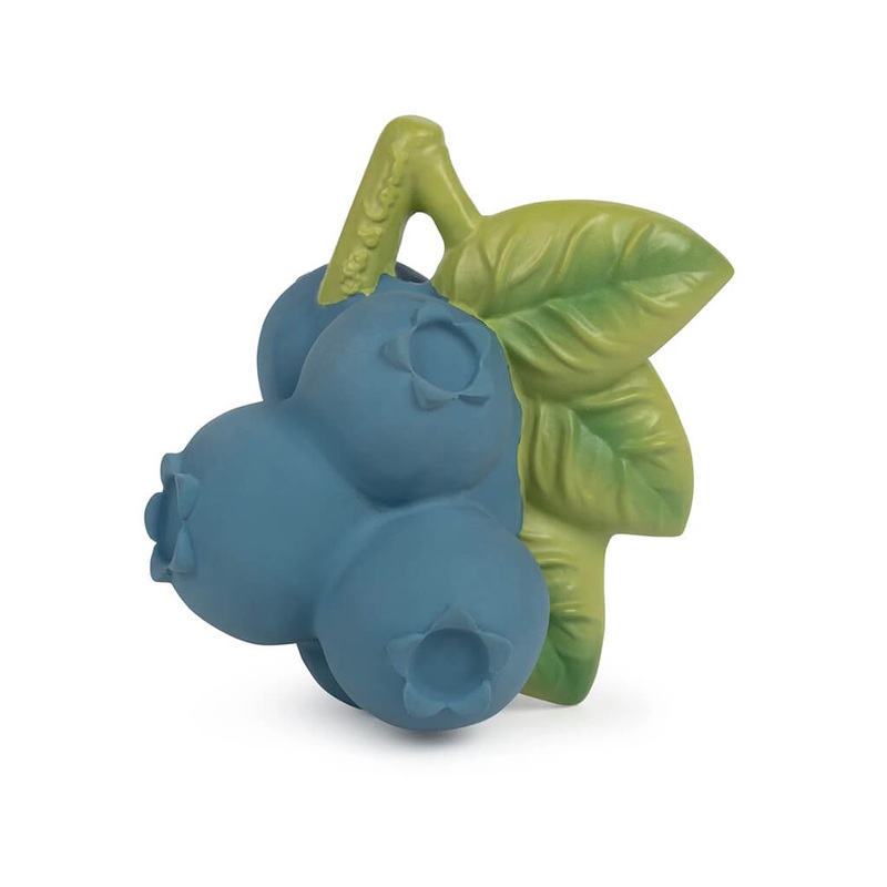 Mimusops Elengi - 0.5 kg Seeds