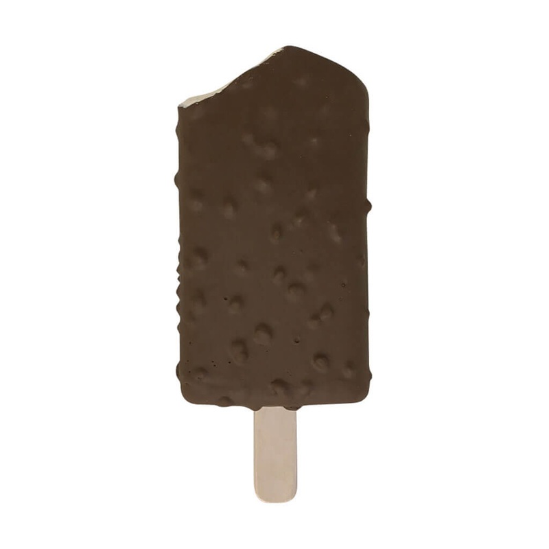 Acalypha wilkesiana rosea twisted - Plant