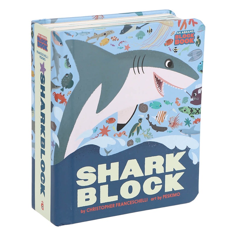 Aglaonema Tiara, Aglaonema Pink Panther - Plant