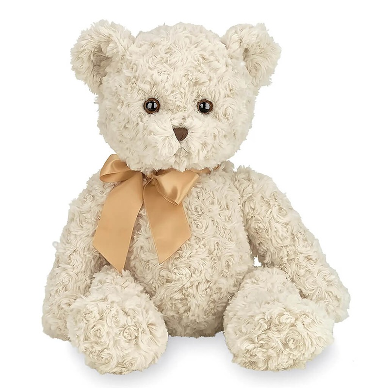 Crinum Moorei Album (White) - Bulbs (set of 5)